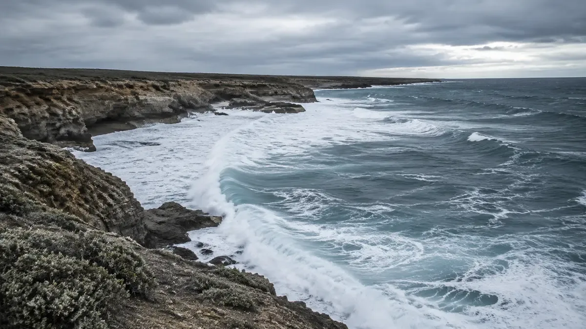 Costa patagónica con acantilados bajos y mar agitado bajo un cielo nublado
