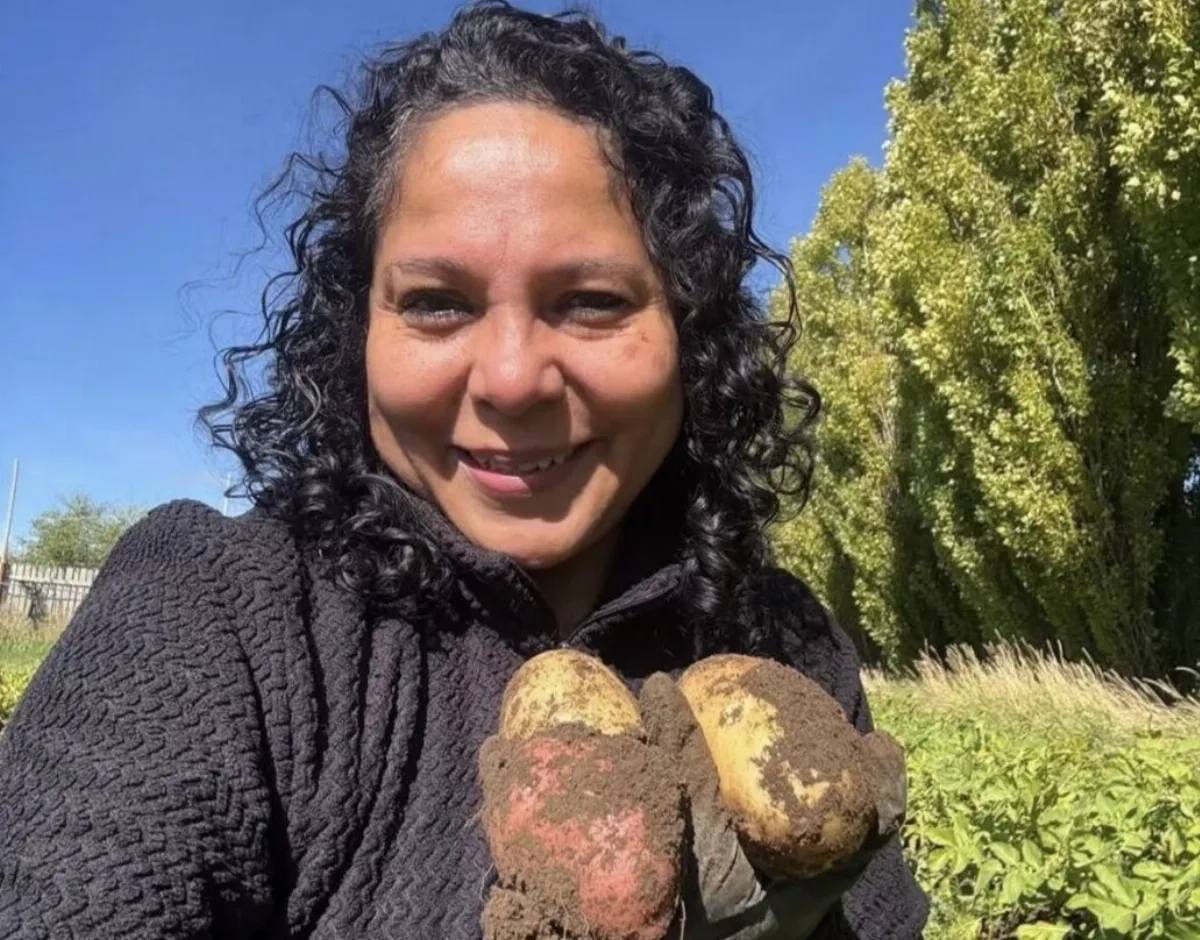Capacitación gratuita sobre siembra de papa este sábado en Río Gallegos