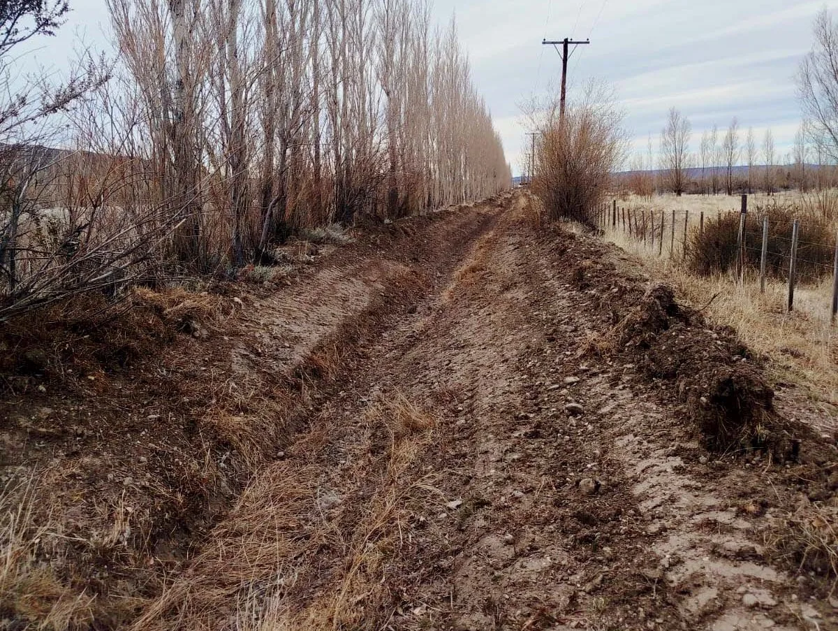 Provincia y Gobernador Gregores avanzan con limpieza de canales para el riego público
