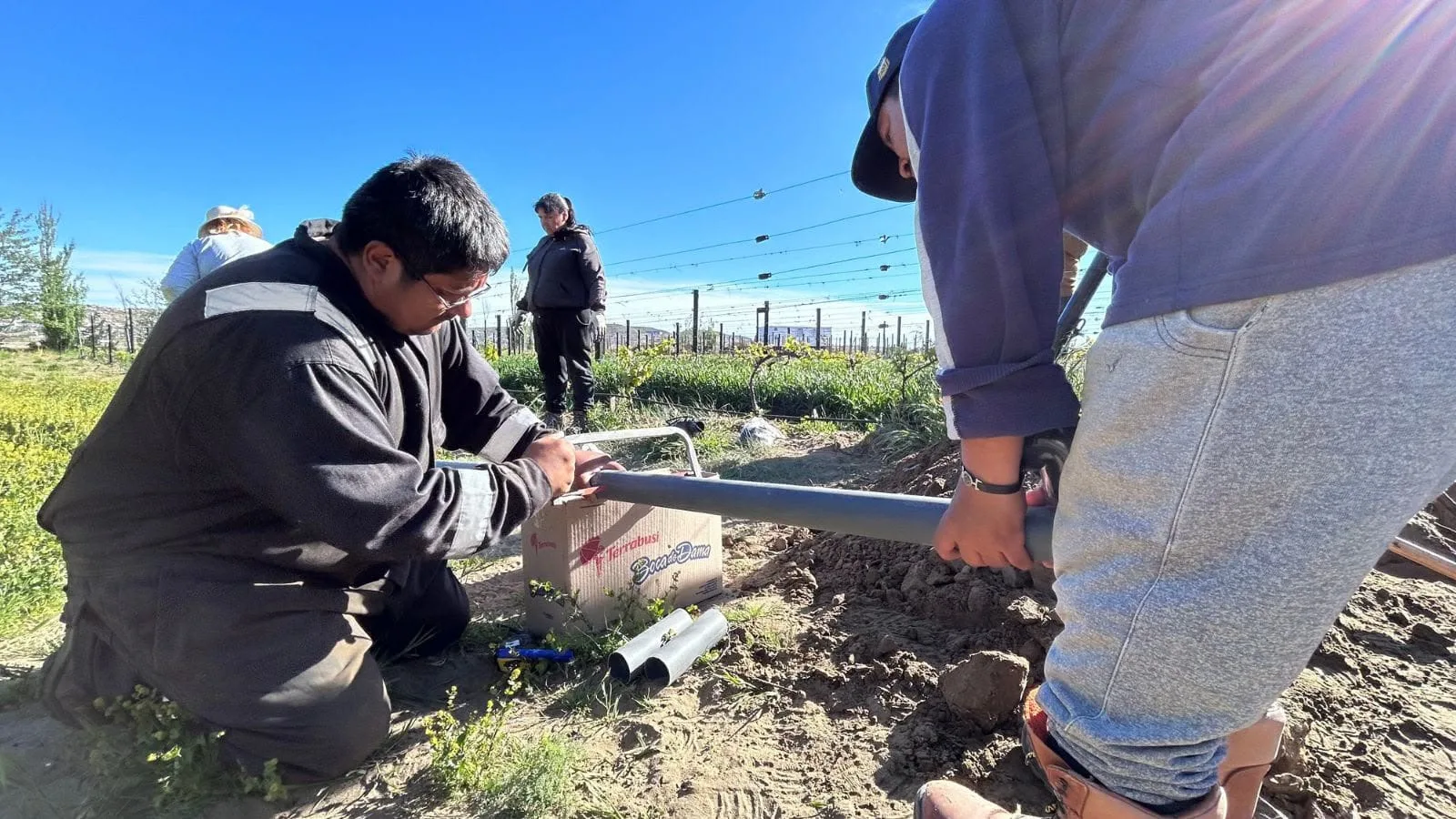 Punto Orgánico instala nuevo sistema de riego en su viñedo de Caleta Olivia