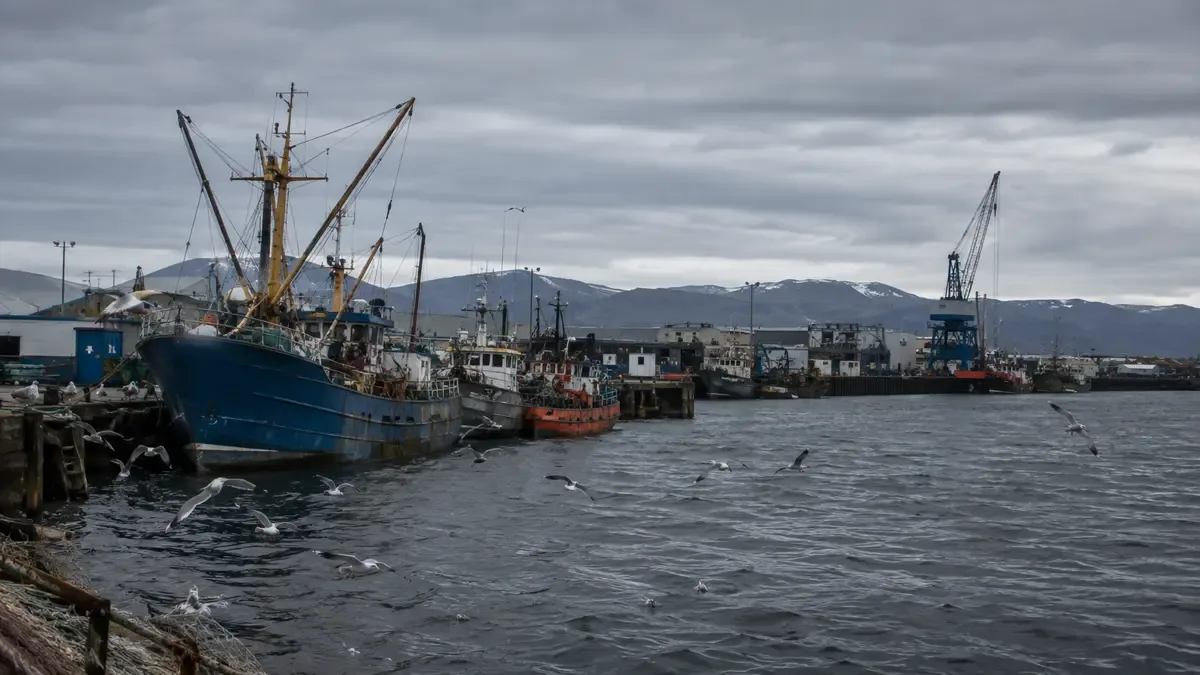 Puerto pesquero patagónico con barcos amarrados y gaviotas en un día gris